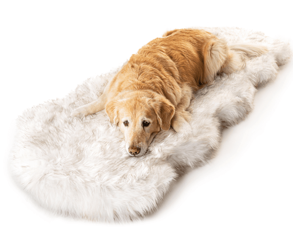 Cama larga PupRug Runner de espuma viscoelástica para perro, blanco con detalles marrones