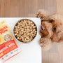 Rawbiotic Bites Chicken Dog Food Topper, photo 3