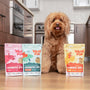 Rawbiotic Bites de res, complemento para la comida del perro, foto 3
