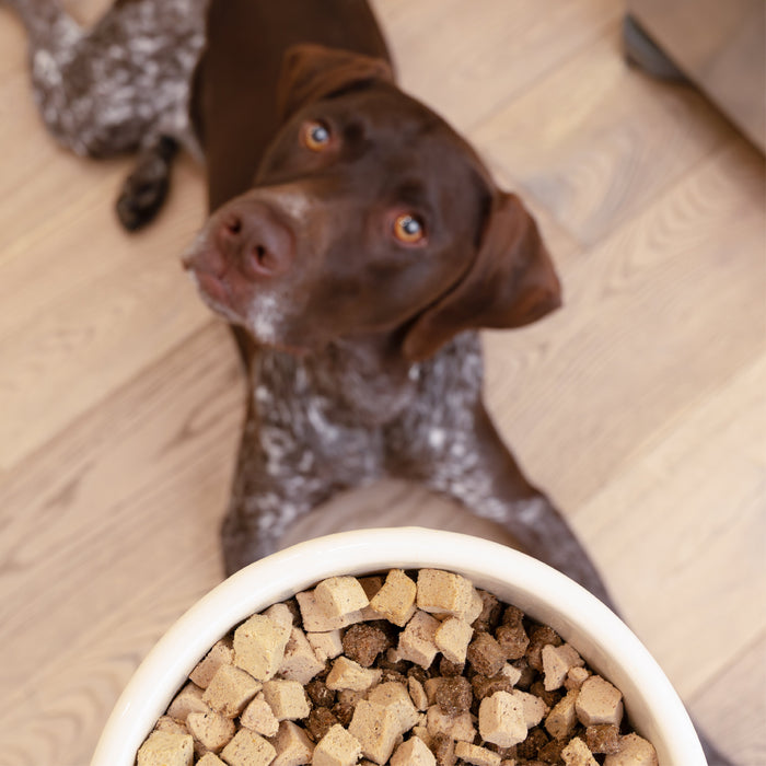Rawbiotic Bites de res, complemento para la comida del perro, foto 5