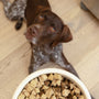 Rawbiotic Bites Chicken Dog Food Topper, photo 5