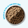 Rawbiotic Bites Chicken Dog Food Topper, photo 6