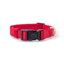 Collar acolchado City para perro, rojo icónico