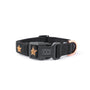 Rockstar City Padded Dog Collar