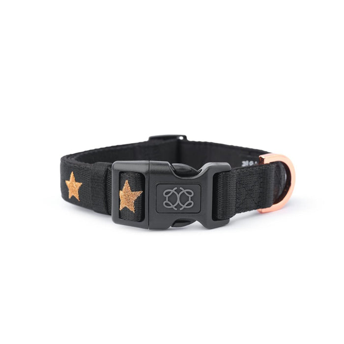 Rockstar City Padded Dog Collar