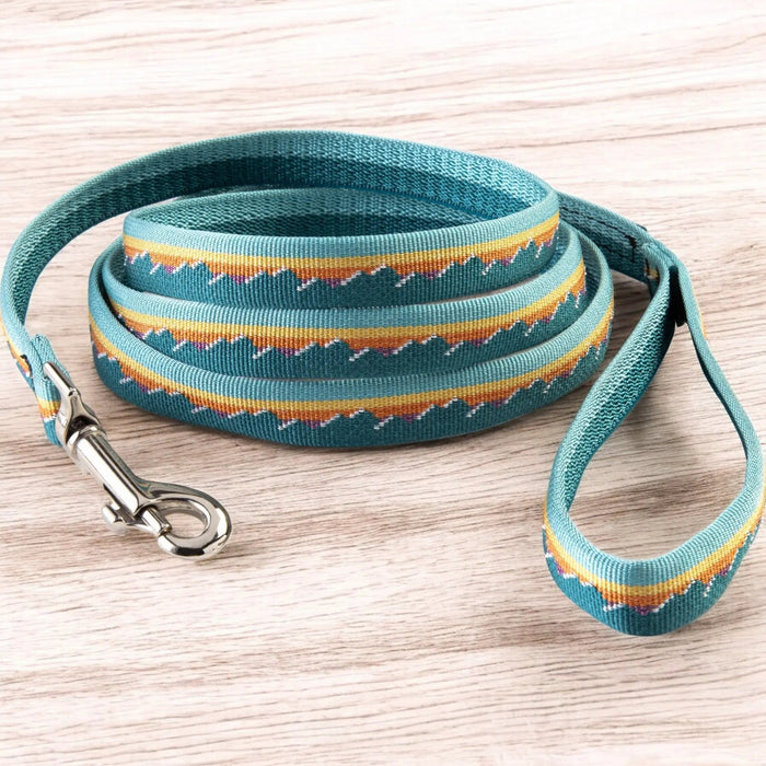 Classic Dog Leash, 1 Inch, photo 3