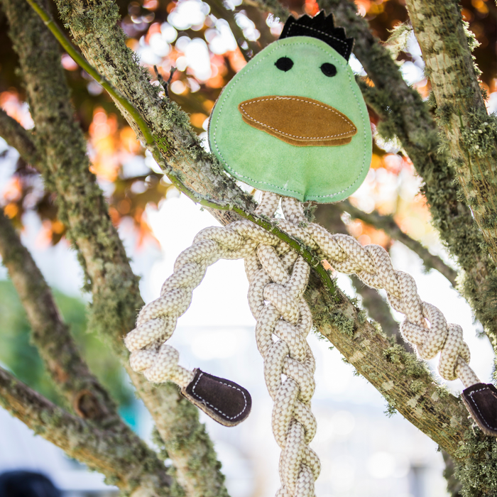 Dilly Duck Rope Knottie, juguete de cuerda natural para perro, tamaño grande, foto 2