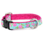 Collar martingala con hebilla para perro Rosy Dots Aqua, 5/8 pulg. de ancho, foto 1