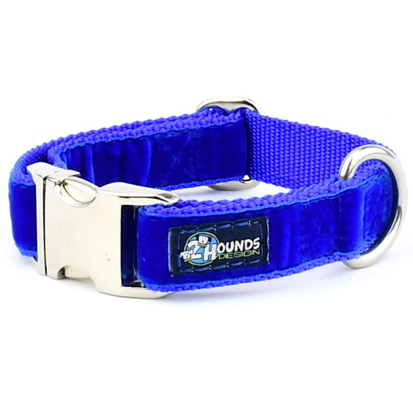 Royal Blue Velvet Essential Dog Collar, photo 2