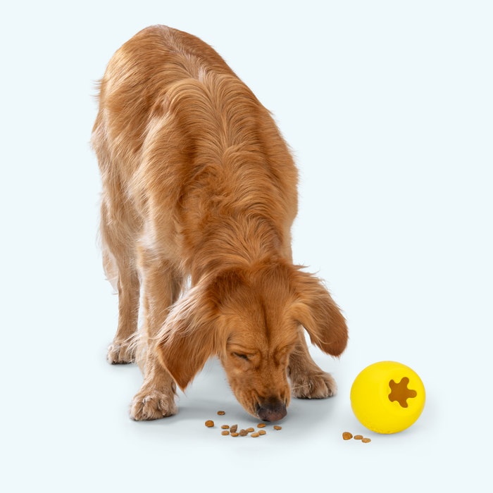 Rumbl Treat Puzzle Dog Toy, photo 5
