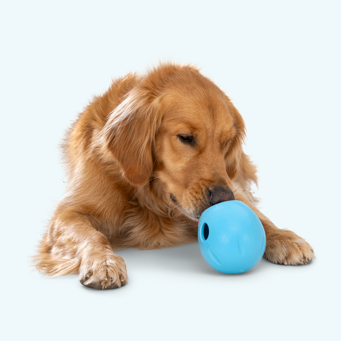 Rumbl Treat Puzzle Dog Toy, photo 8