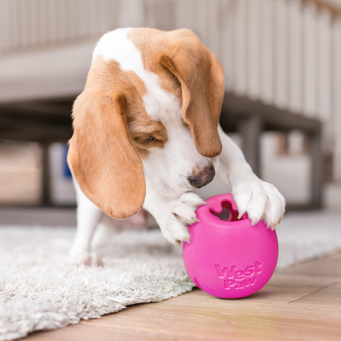 Rumbl Treat Puzzle Dog Toy, photo 6