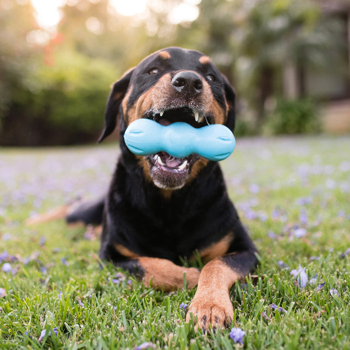 Juguete para morder Rumpus para perro, foto 5