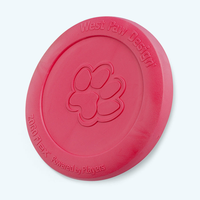 Zisc Flying Disc for Dogs, photo 12