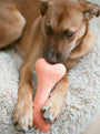 Ombre Woolbone Dog Toy, photo 17
