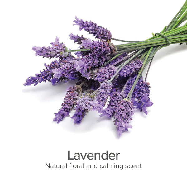 Between Bath Freshener Spray for Dogs, Lavender, photo 2