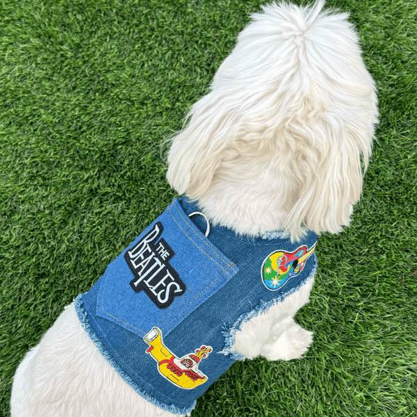 Fab Four Harness, photo 2