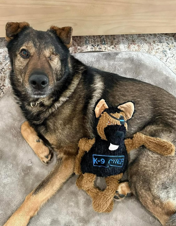 K-9 Chief Knottie, juguete de peluche para perro, tamaño grande, foto 7