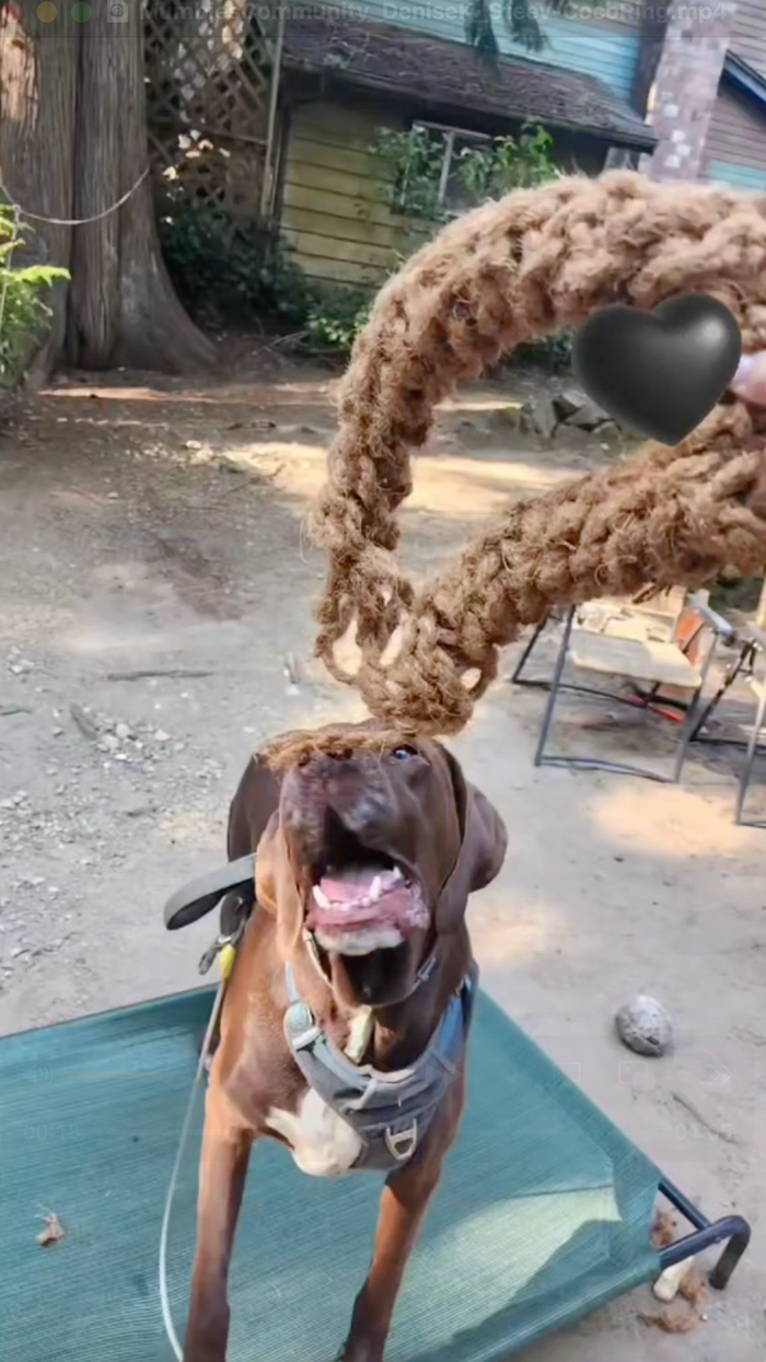 Aro de cuerda de coco para perro, foto 30