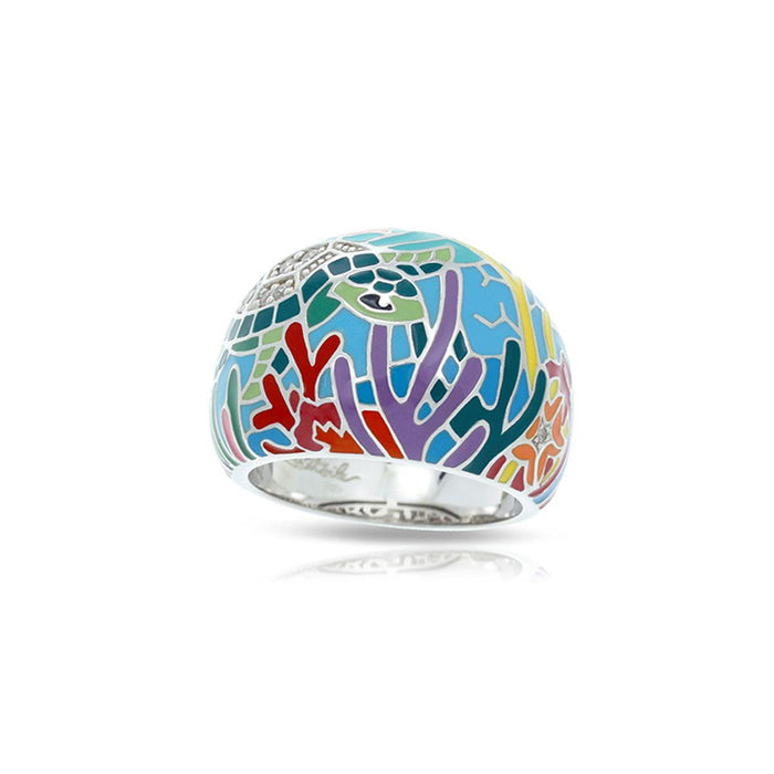 Anillo Sea Turtle, foto 1