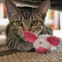 HuggleKats Dust Bunnies Cat Toys, 3 Pack, photo 12