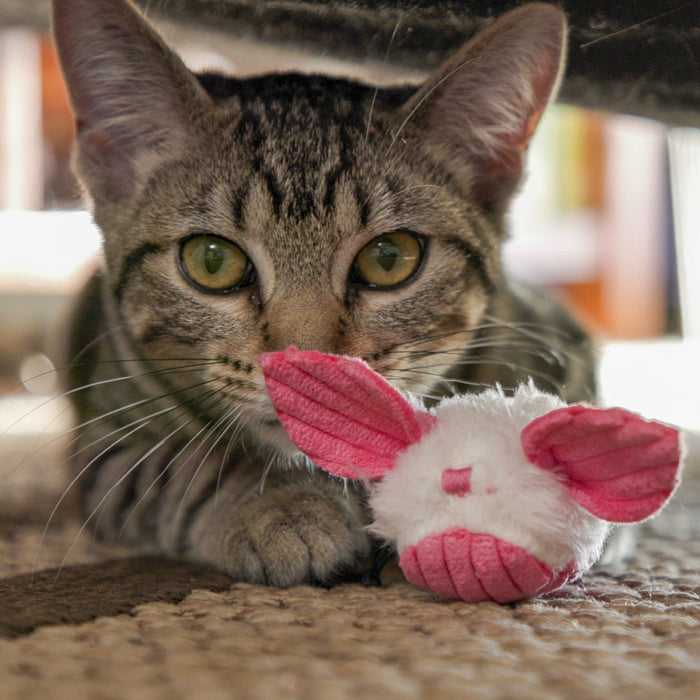 HuggleKats Dust Bunnies Cat Toys, 3 Pack, photo 12