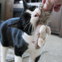 HuggleKats Wee Feller Squirrelie Cat Toy, photo 6