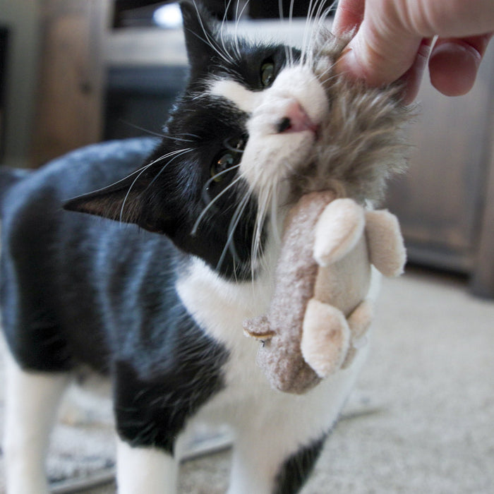 HuggleKats Wee Feller Squirrelie Cat Toy, photo 6