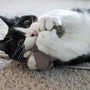 HuggleKats Wee Feller Squirrelie Cat Toy, photo 7