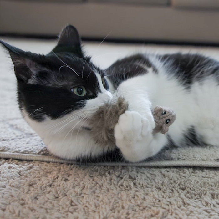 HuggleKats Wee Feller Squirrelie Cat Toy, photo 8