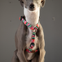 Roman-Style Strap Dog Harness, 1/2 Inch, photo 3