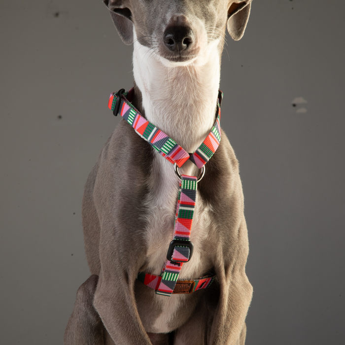Roman-Style Strap Dog Harness, 1/2 Inch, photo 3