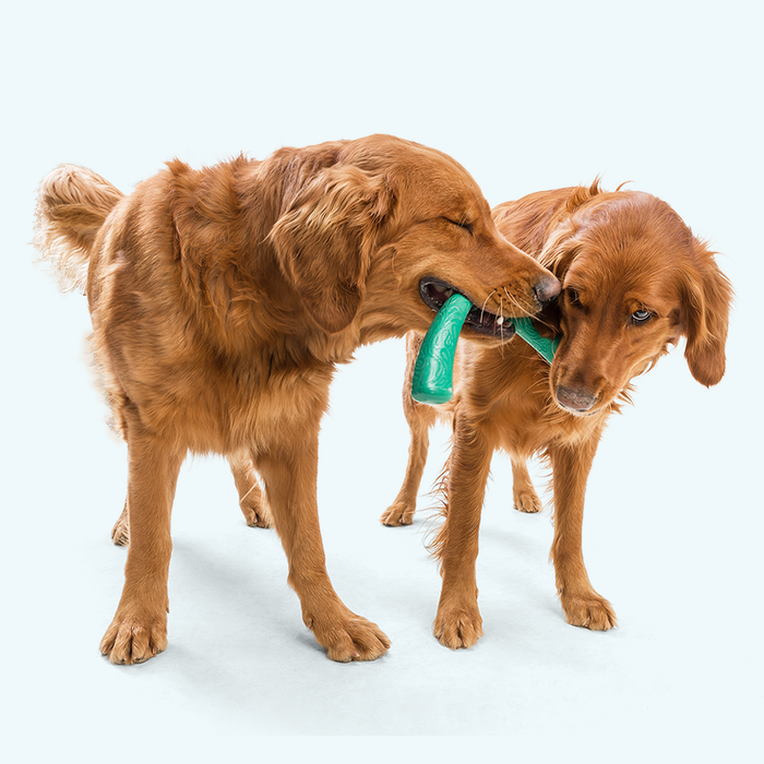 Juguete para jalar Snorkl para perro, foto 4