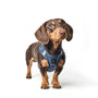 Denim SoHo Step-In Dog Harness, photo 3