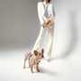 Dune SoHo Step-In Dog Harness, photo 4