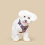 Lilac Gray SoHo Step-In Dog Harness, photo 3