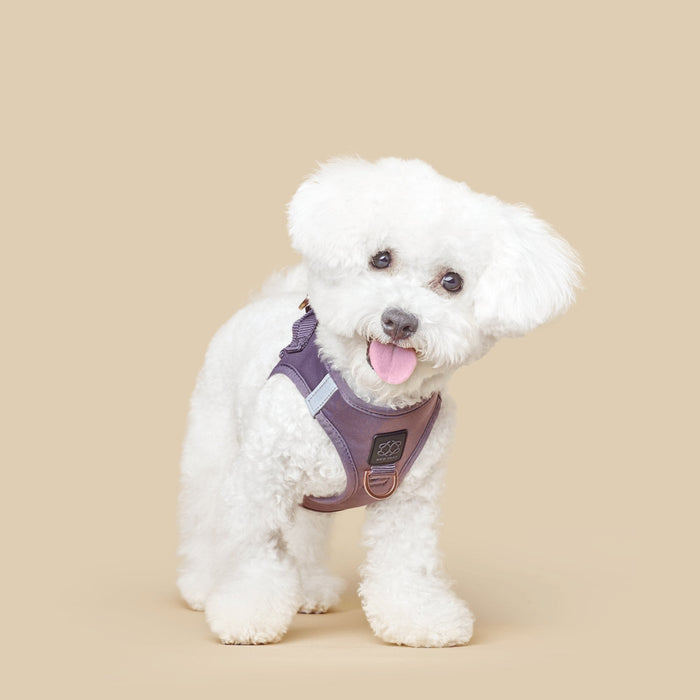 Lilac Gray SoHo Step-In Dog Harness, photo 3