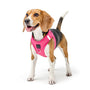 Park Ave Pink SoHo Step-In Dog Harness, photo 4