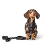 Rockstar SoHo Step-In Dog Harness, photo 3