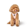 Sweetheart SoHo Step-In Dog Harness, photo 6