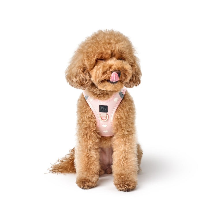 Sweetheart SoHo Step-In Dog Harness, photo 6