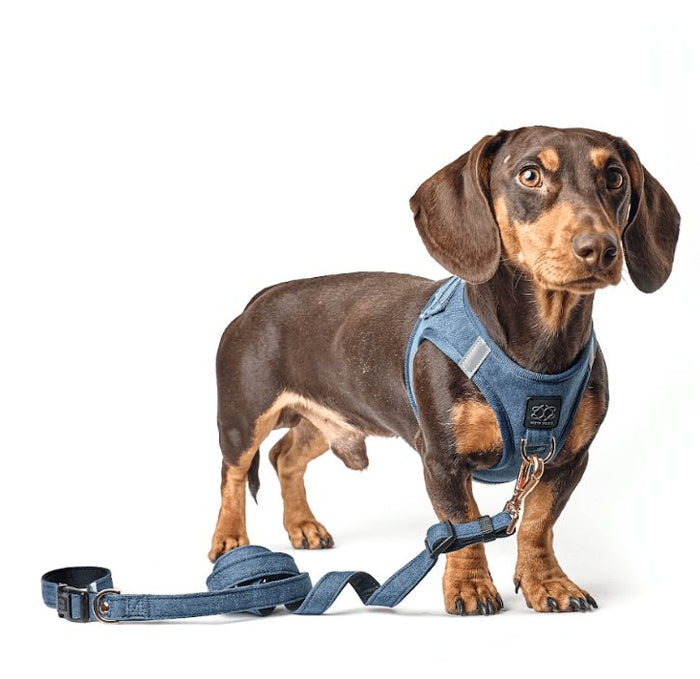 Denim SoHo Step-In Dog Harness, photo 5