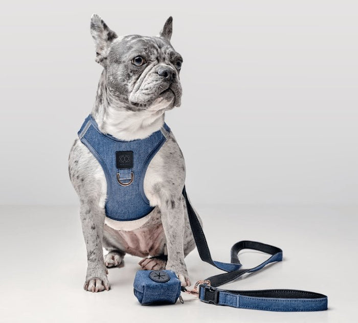Denim SoHo Step-In Dog Harness, photo 7