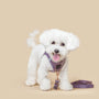 Lilac Gray Poop Bag Holder, photo 2