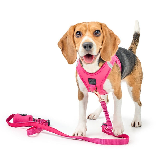 Park Ave Pink City Bungee Dog Leash, photo 2