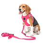 Park Ave Pink SoHo Step-In Dog Harness, photo 7