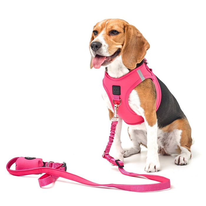 Park Ave Pink SoHo Step-In Dog Harness, photo 7