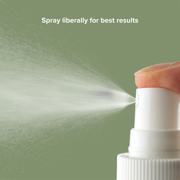 Between Bath Freshener Spray for Dogs, Lavender, photo 3