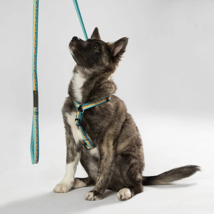 Classic Dog Leash, 1 Inch, photo 5