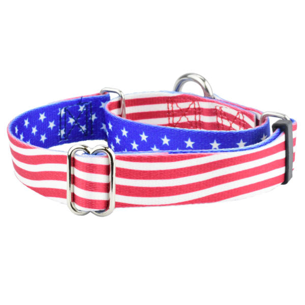 Collar martingala para perro Star Spangled EarthStyle, foto 1
